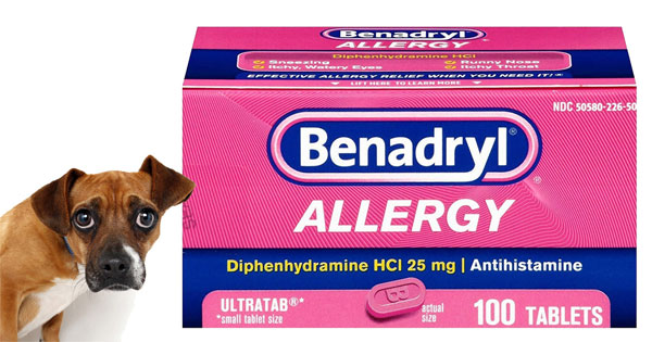 Understanding the Safe Usage of Benadryl for Dogs: A Comprehensive Guide